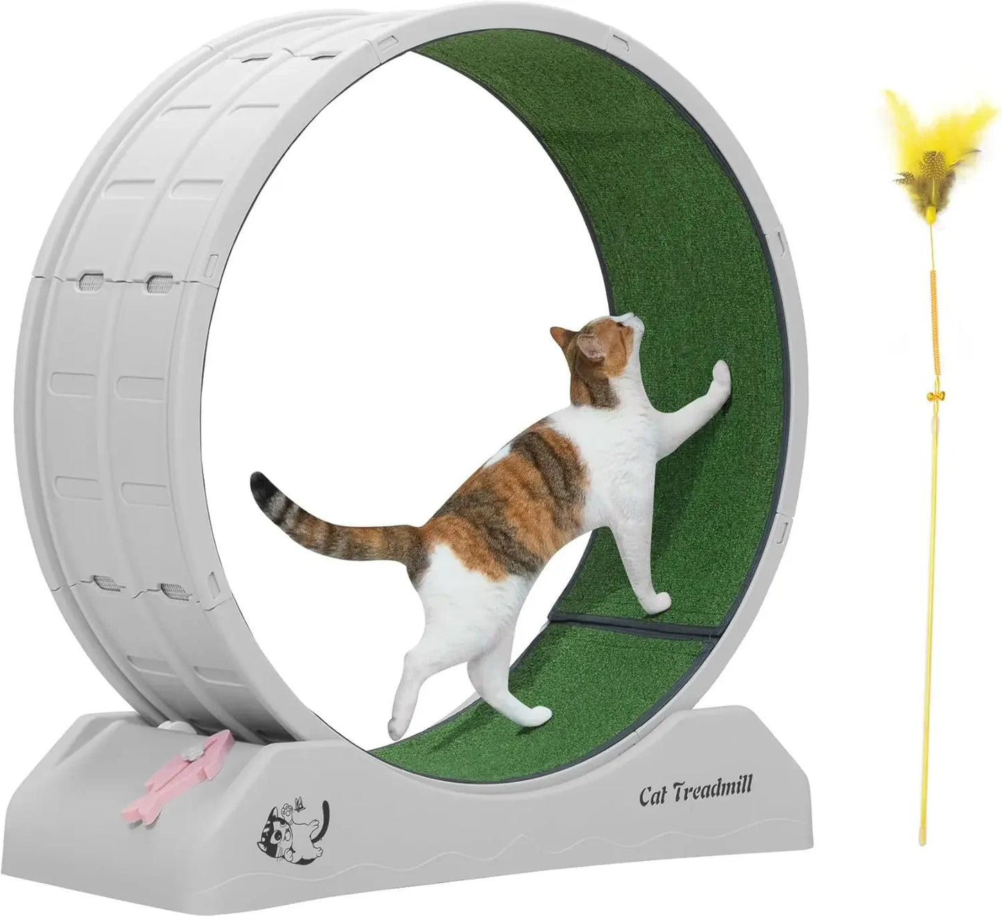 Cat Exercise Wheel Treadmill for Active Play and Fitness