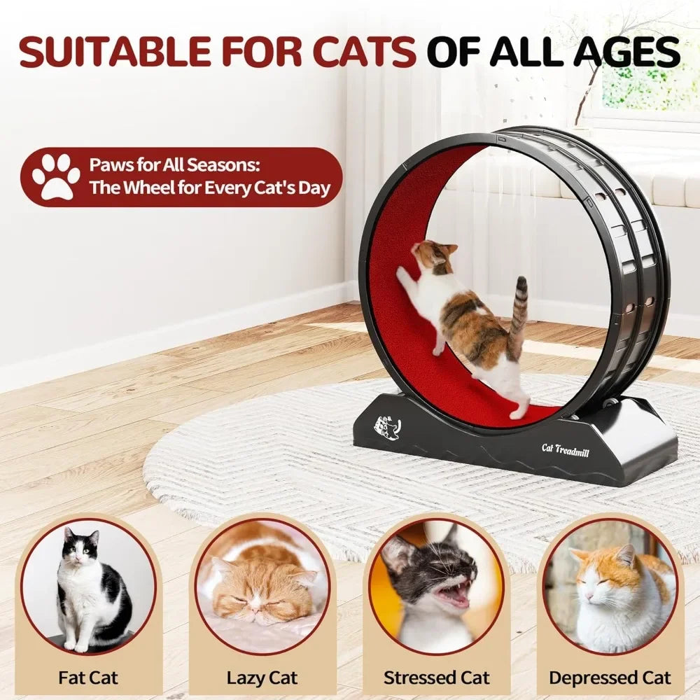 Cat Exercise Wheel Treadmill for Active Play and Fitness