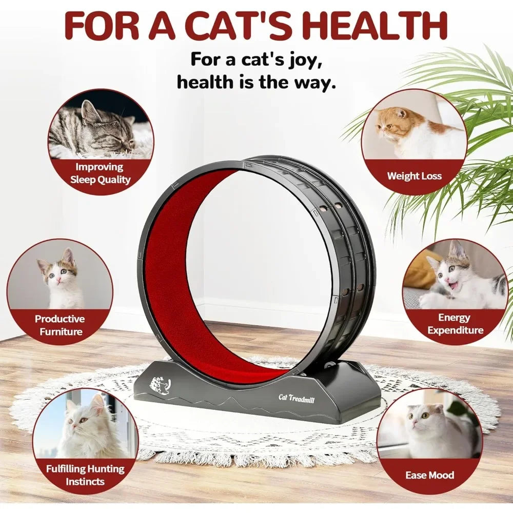 Cat Exercise Wheel Treadmill for Active Play and Fitness