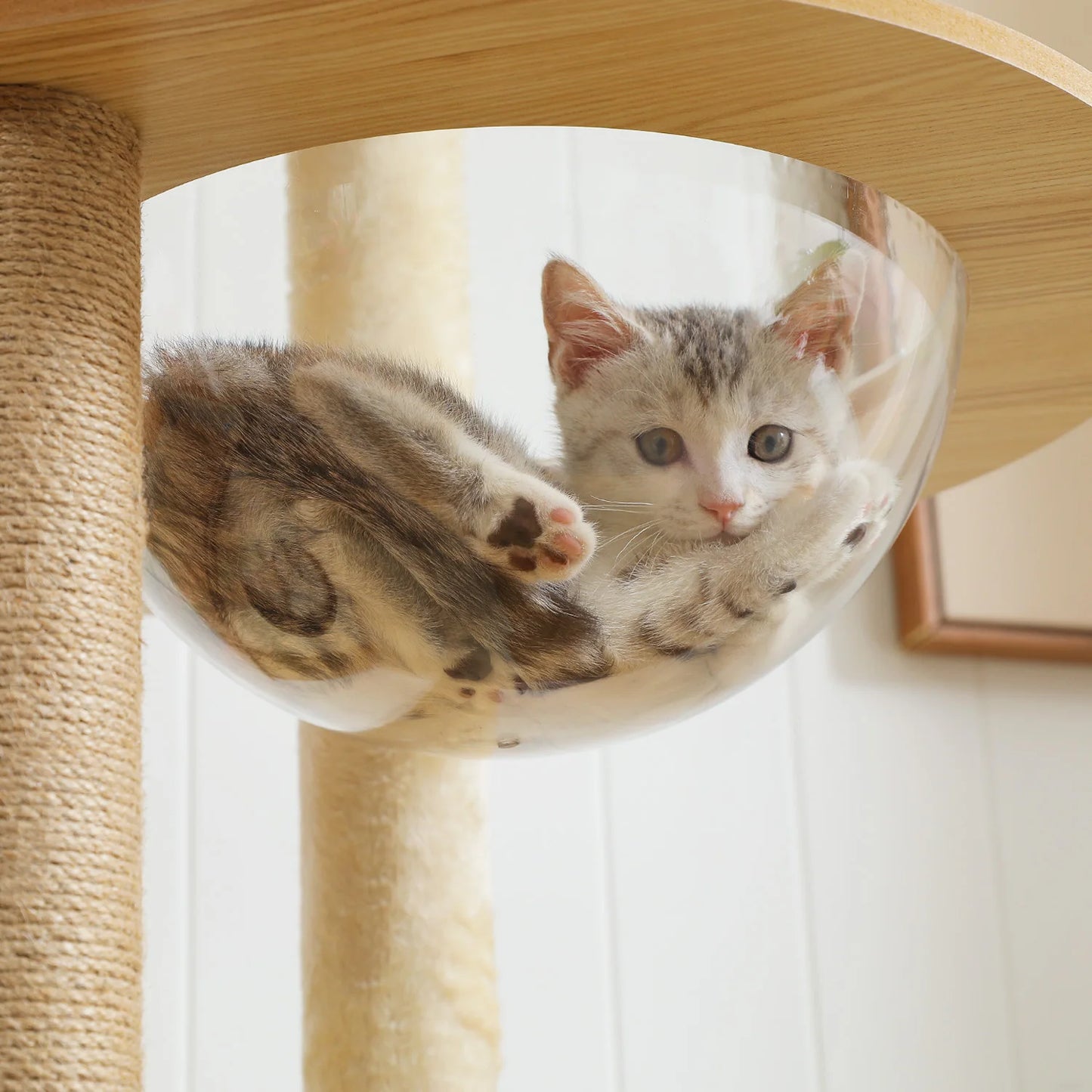 Elegant 180cm Wooden Cat Tree Tower with Cozy Perch and Pompoms for Multi Cat Families
