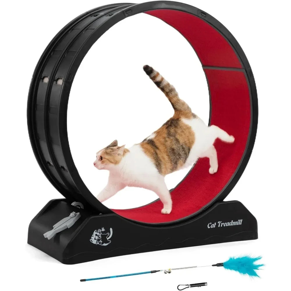 Cat Exercise Wheel Treadmill for Active Play and Fitness