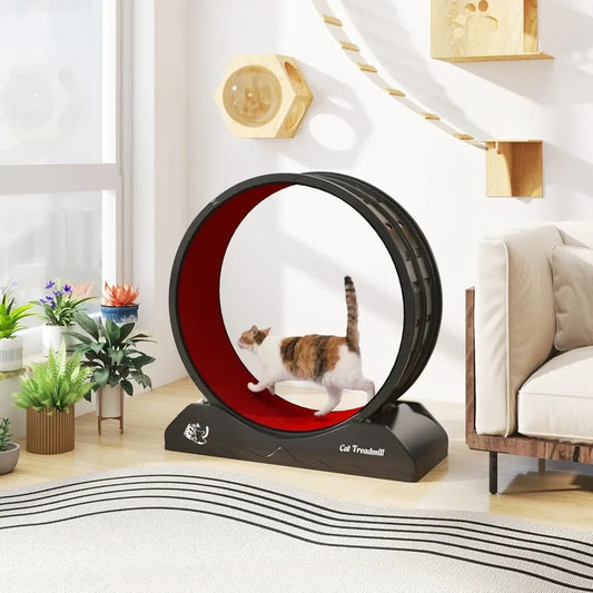 Cat Exercise Wheel Treadmill for Active Play and Fitness