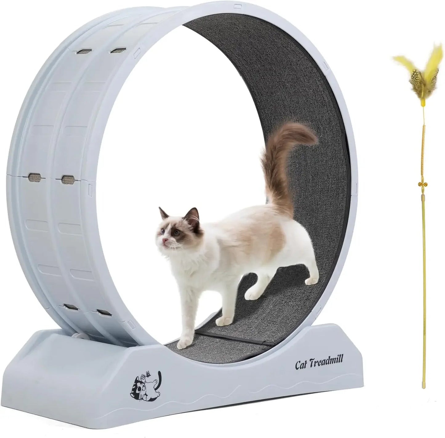 Cat Exercise Wheel Treadmill for Active Play and Fitness